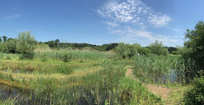 Naturschutzgebiet Auried