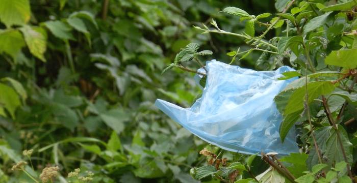 Weggeworfener Abfall in der Natur © Sylvie Rotzetter