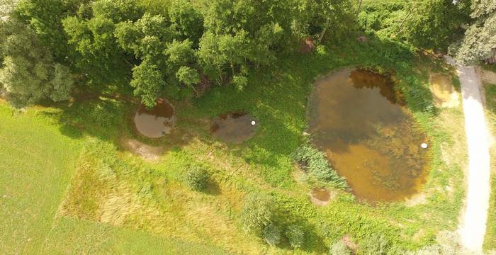 Die Wasserflächen von Les Overesses in Villarepos von oben betrachtet