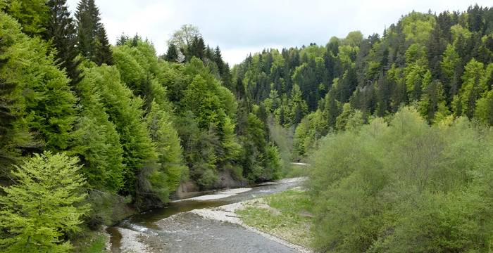 Cours d'eau