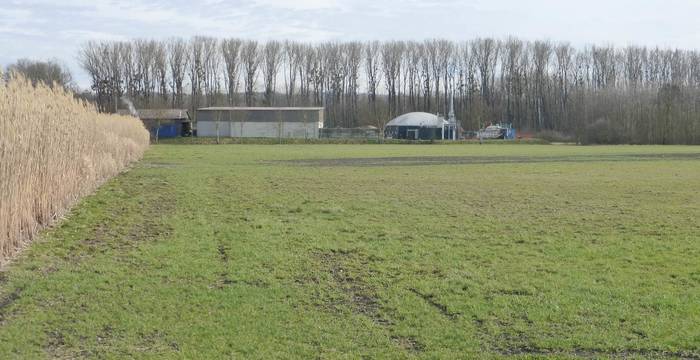 Site du futur centre de biomasse de Galmiz