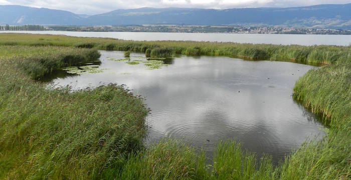 Lac de Neuchatel