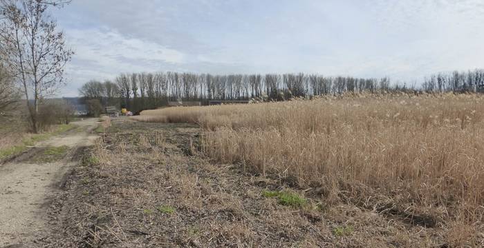 Seeland © Pro Natura Fribourg