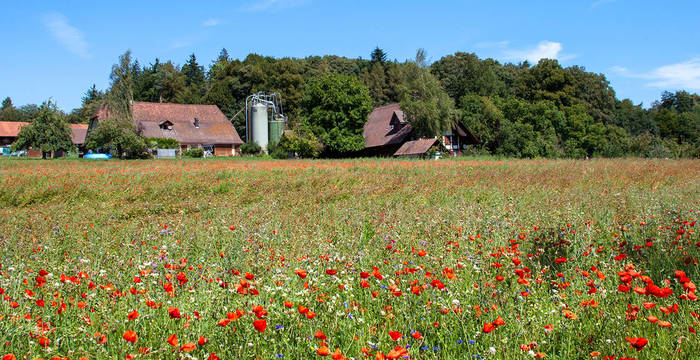 Landwirtschaftsfläche