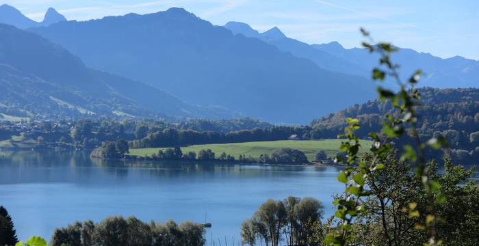 Lac de la Gruyère