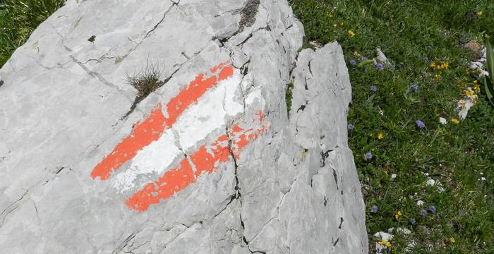 Chemin de randonnée