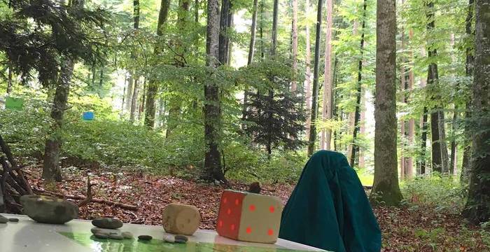 Rallye forestier