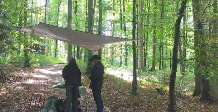 Rallye forestier