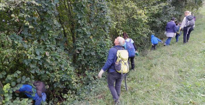 Excursion sur les gliridés