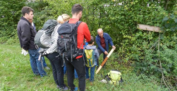 Excursion sur les gliridés