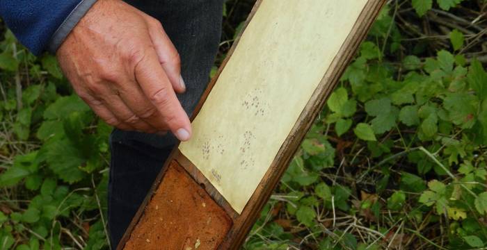 Exkursion zum Thema Bilche