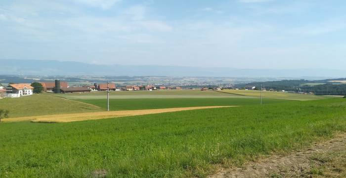 Vue depuis la colline de Torny