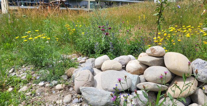Einrichtungen in einem Naturgarten