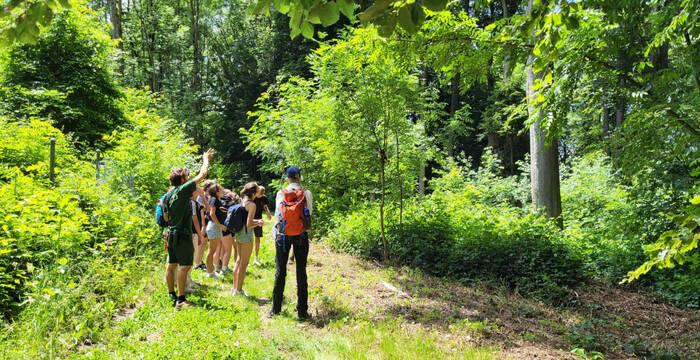 Gruppe bei der Entdeckung von Habitatbäumen