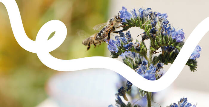 Naturgarten Header