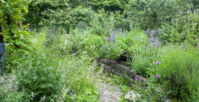 Jardin naturel