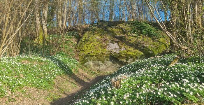 Le Palet Roulant au printemps