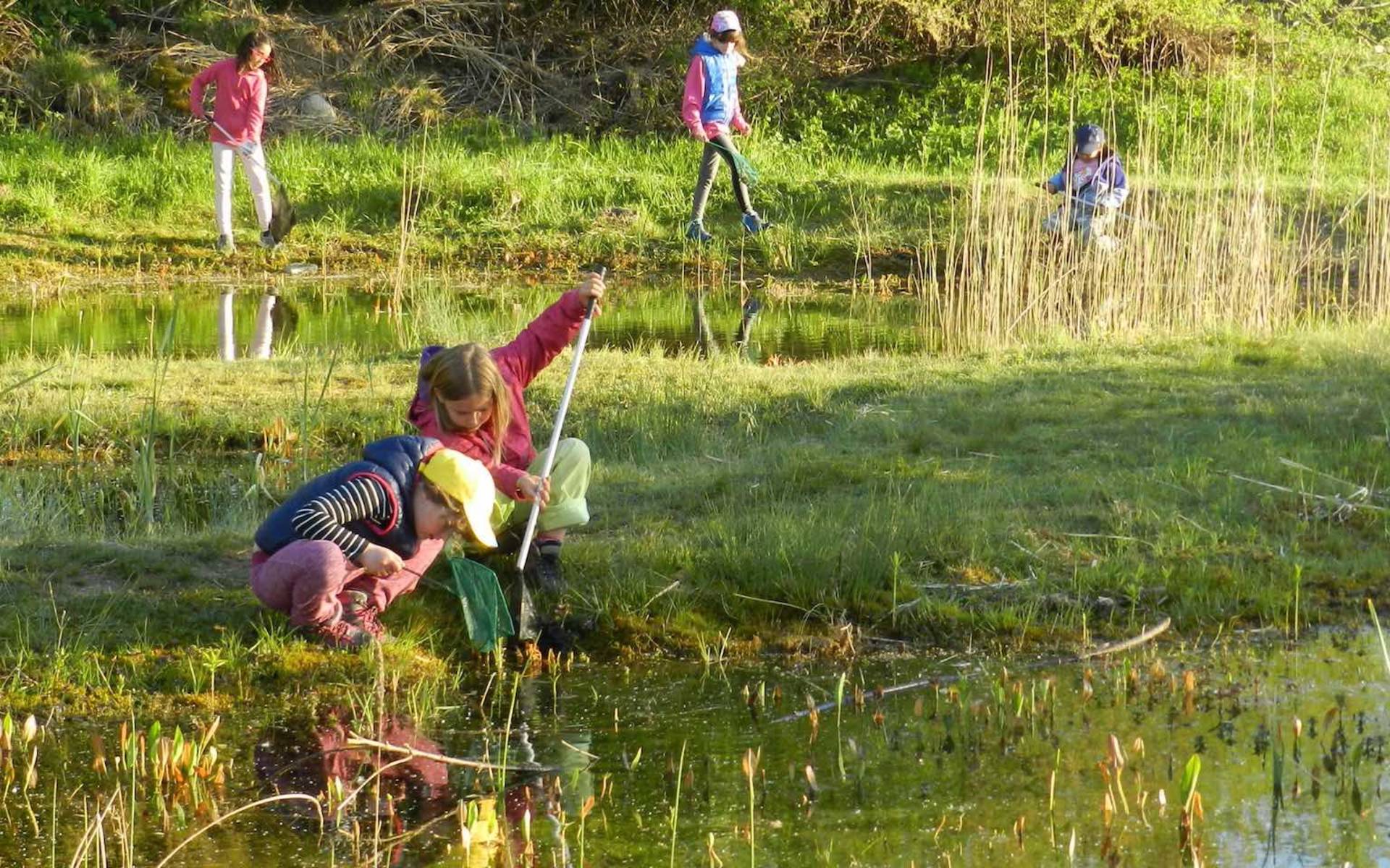 Enfants au bord de l'étang @ Sylvie Rotzetter