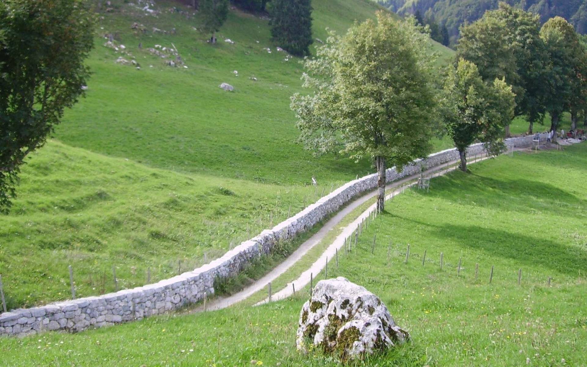 Allée d'arbres et mur de la Monse © José Collaud