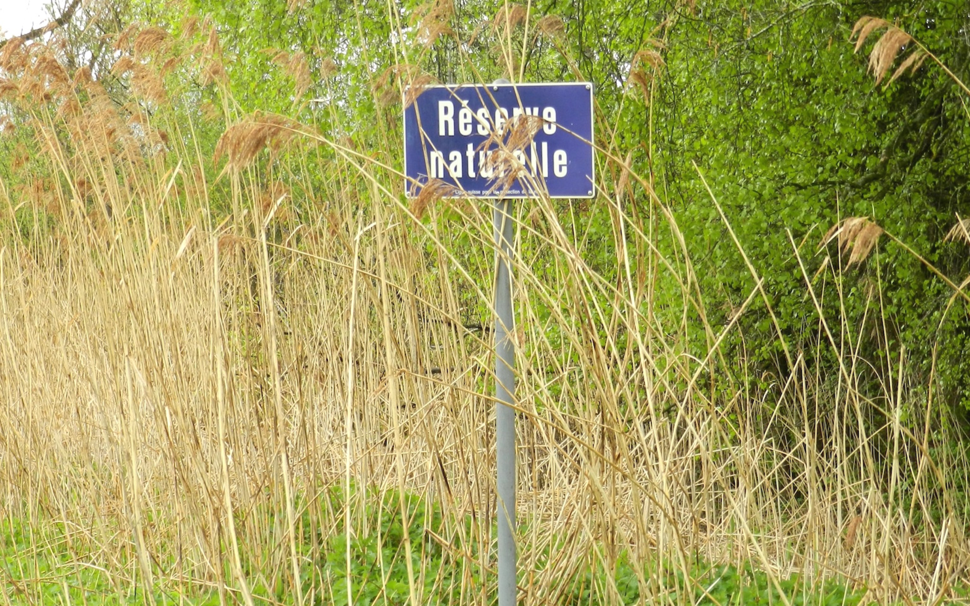 Tafel eines Naturschutzgebietes © Sylvie Rotzetter