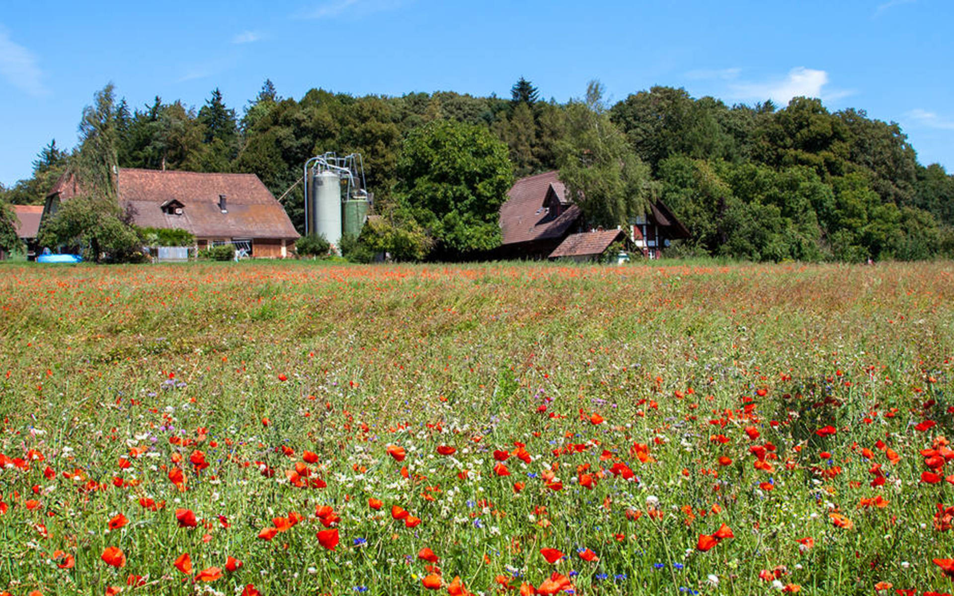 Landwirtschaftsfläche © Matthias Sorg