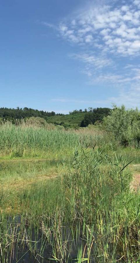 Réserve naturelle de l'Auried