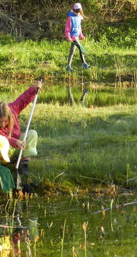 Enfants au bord de l'étang @ Sylvie Rotzetter