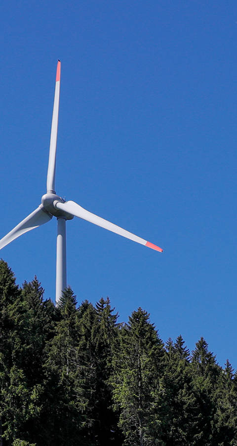 Eolien