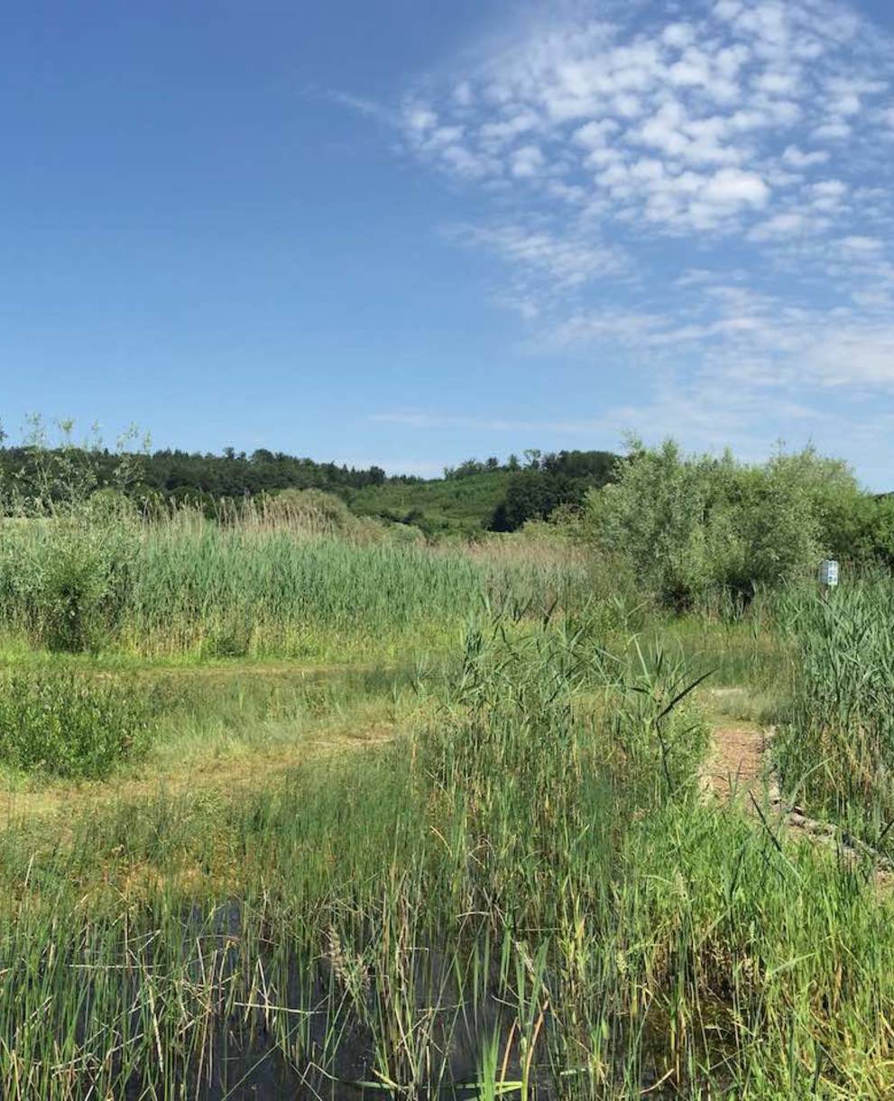 Réserve naturelle de l'Auried