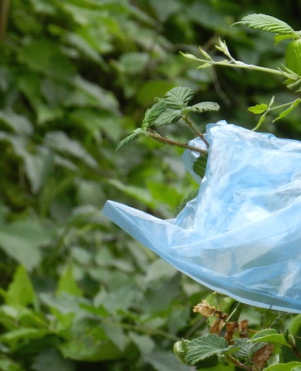 Weggeworfener Abfall in der Natur