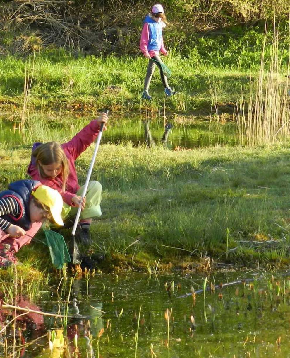 Enfants au bord de l'étang @ Sylvie Rotzetter