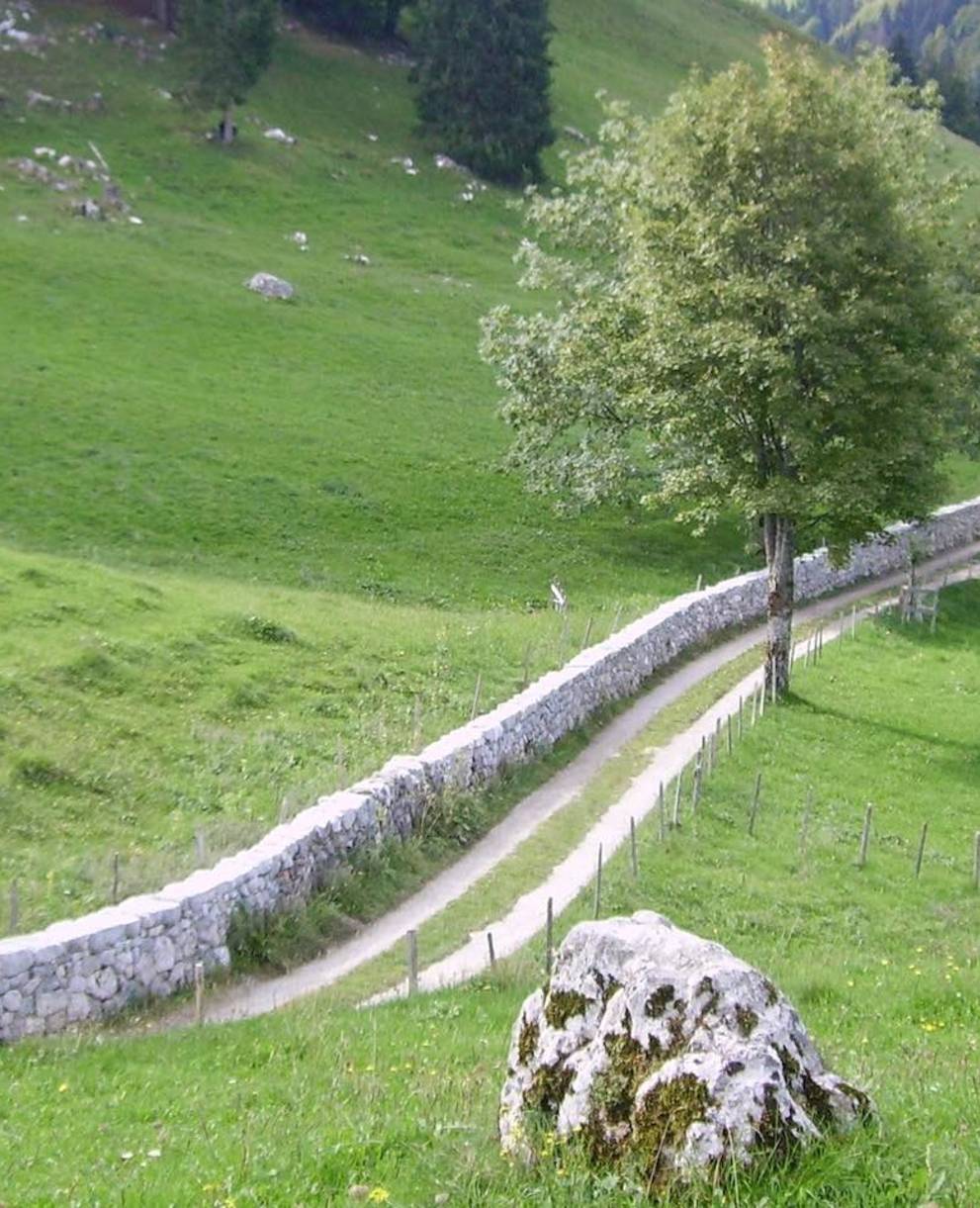 Baumallee und Mauer bei La Monse, Charmey