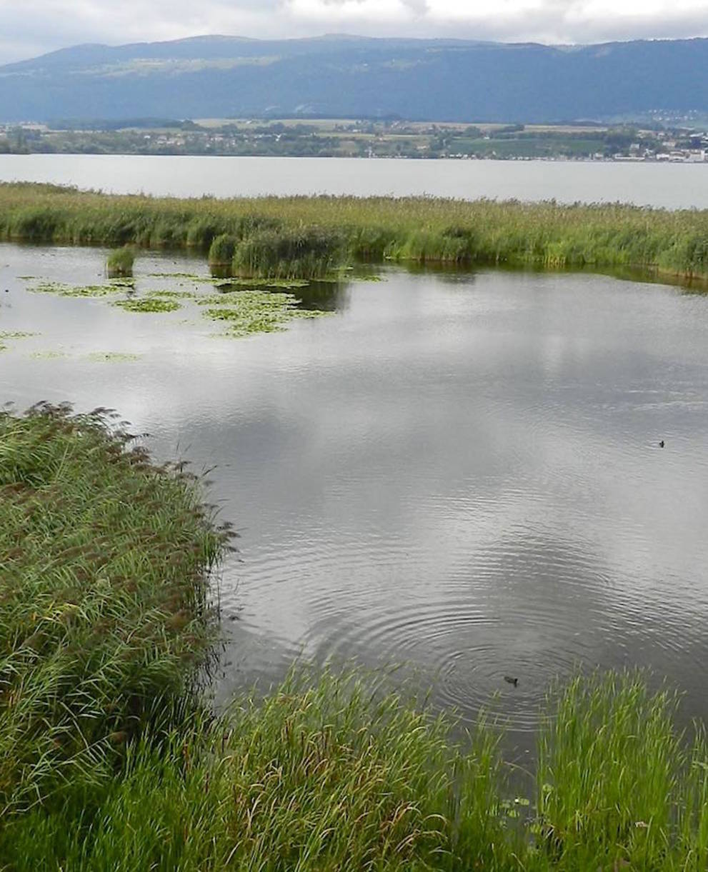 Lac de Neuchatel