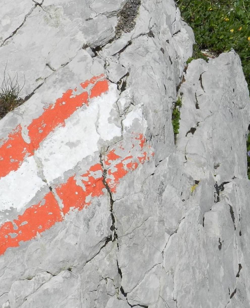 Chemin de randonnée