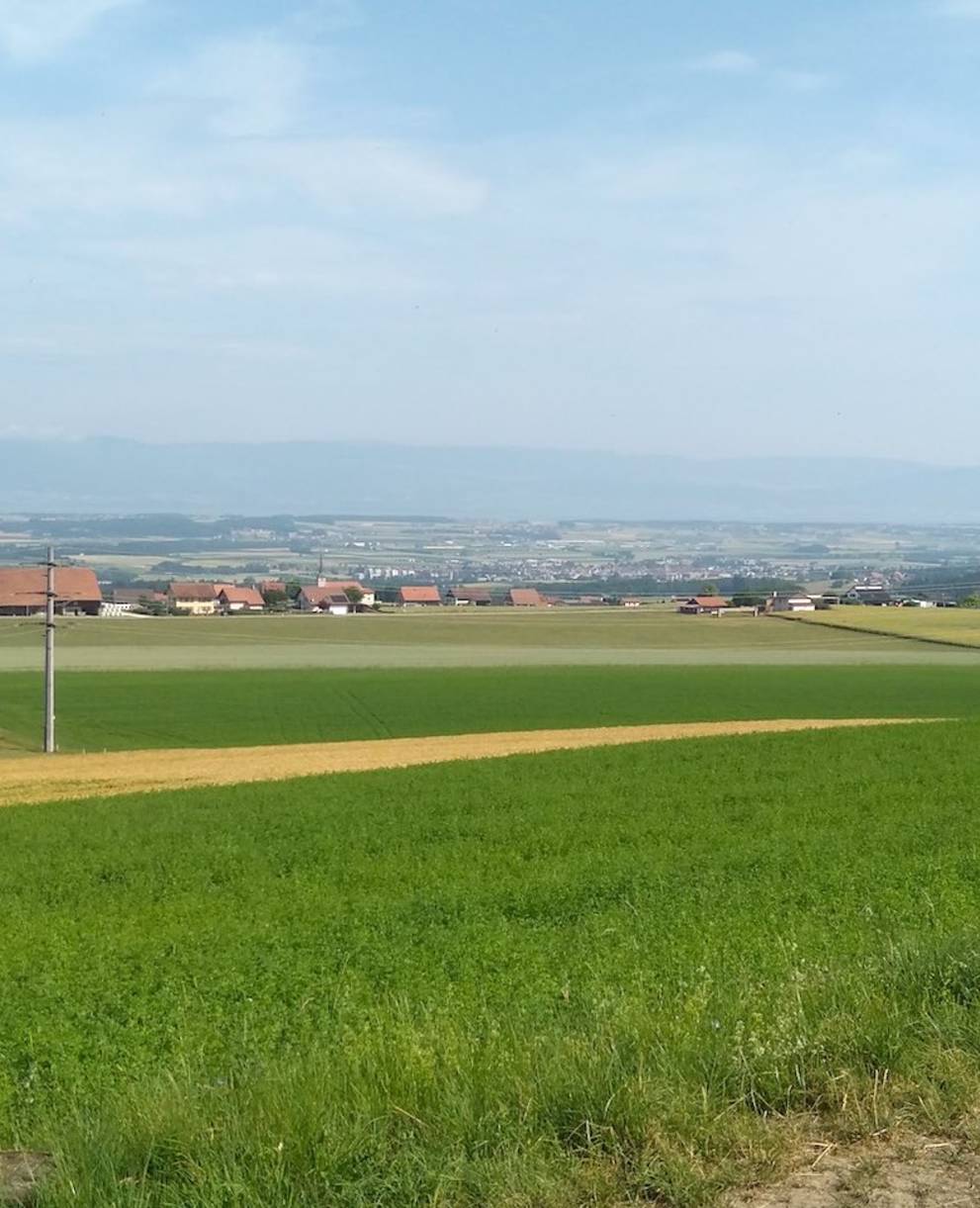 Vue depuis la colline de Torny