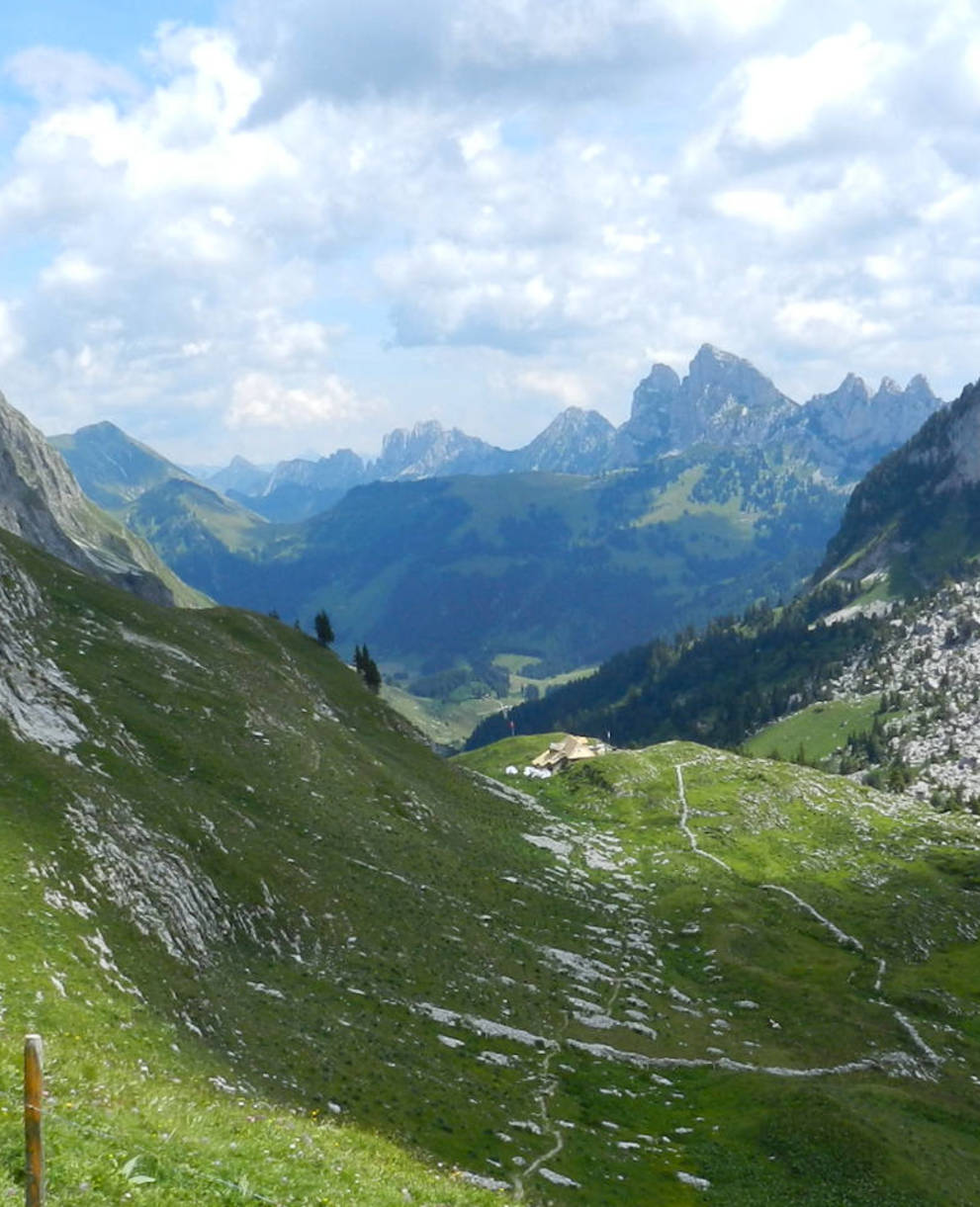 Vallon des Morteys