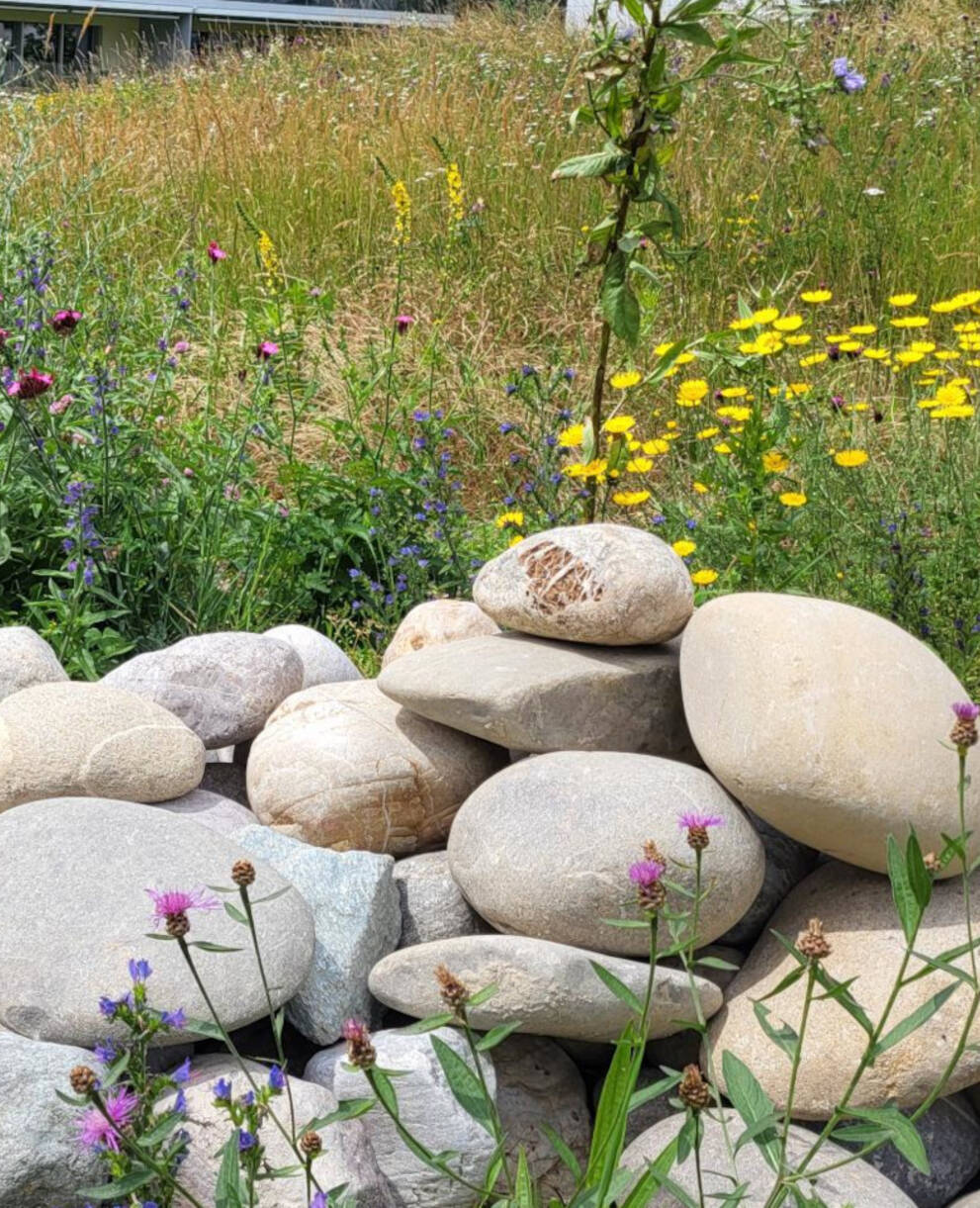 Einrichtungen in einem Naturgarten