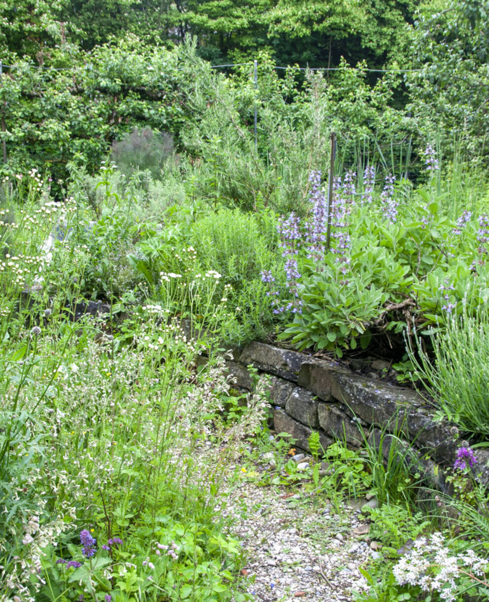 Jardin naturel