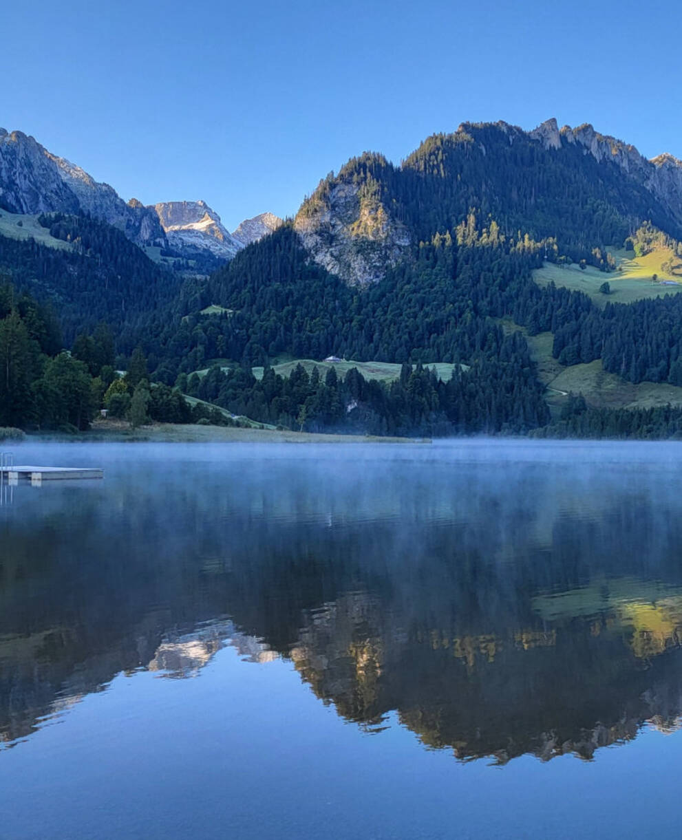 Lac Noir et ses abords