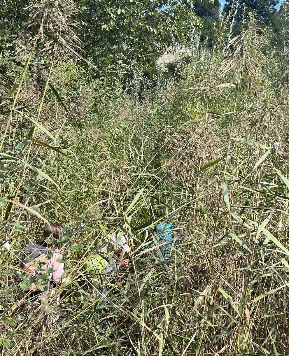 Sur les traces du castor à Fribourg