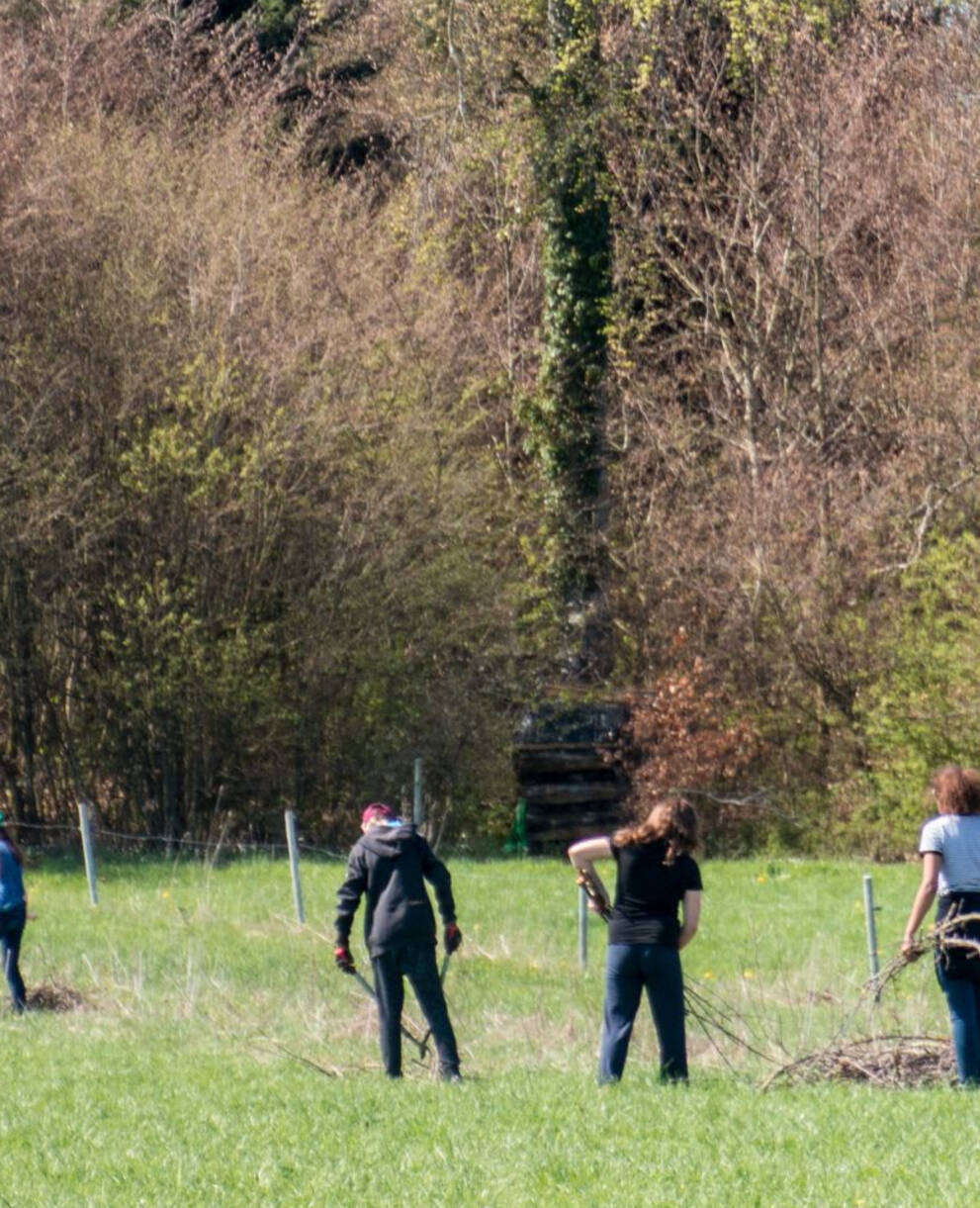 Personnes plantant une haie